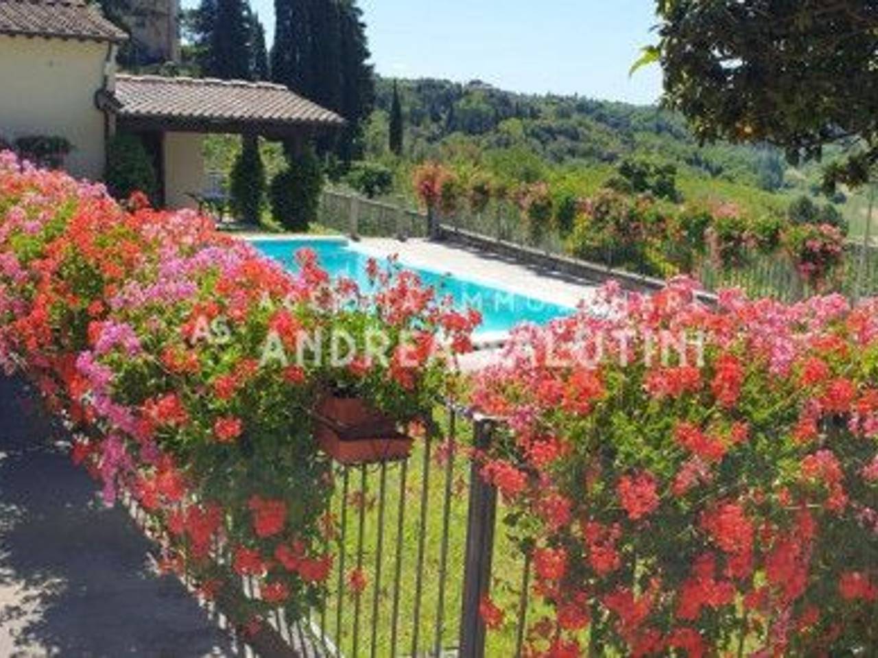 immagine annuncio 13 di 15