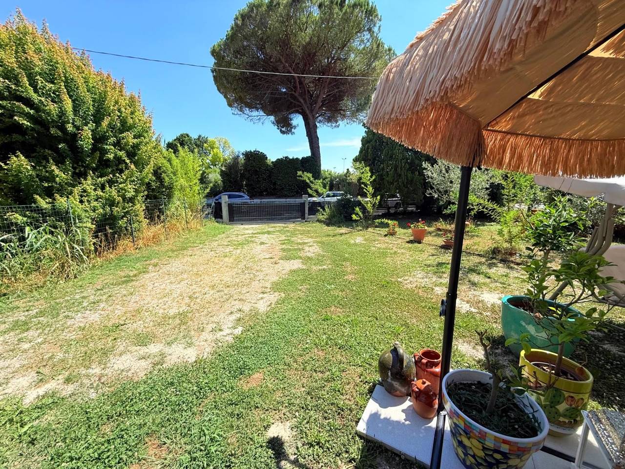 immagine annuncio 8 di 12
