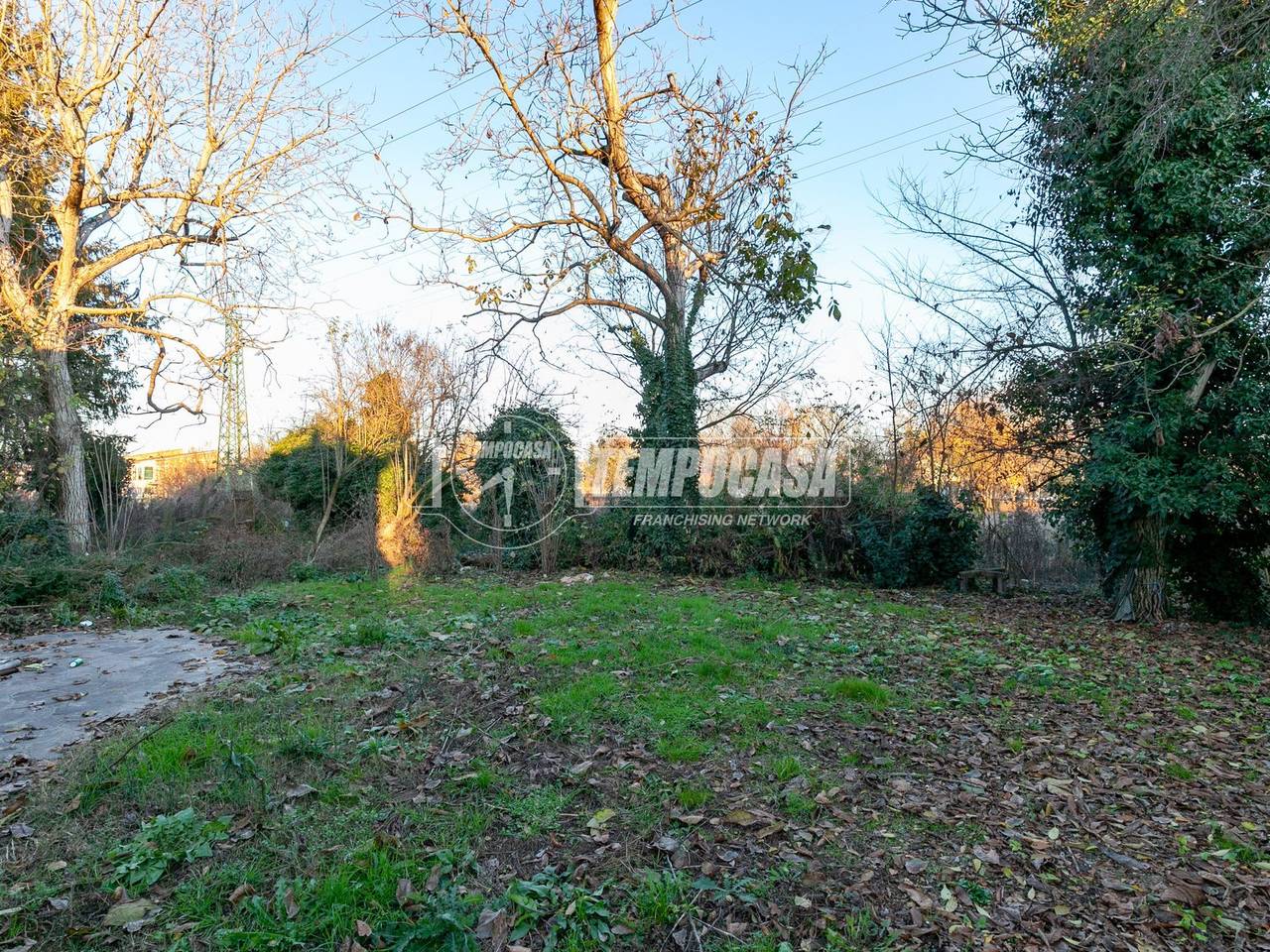 immagine annuncio 10 di 12