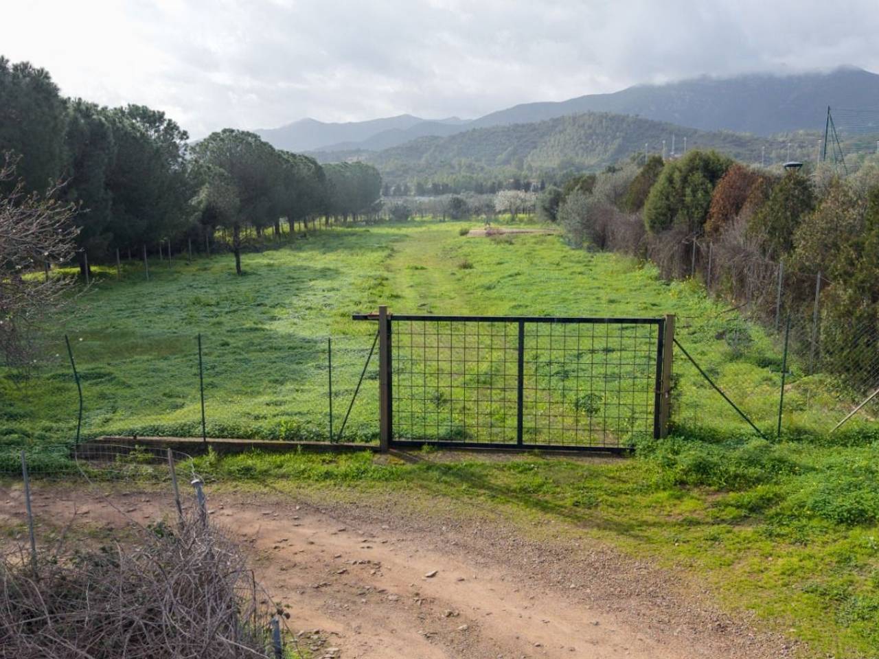 immagine annuncio 11 di 12