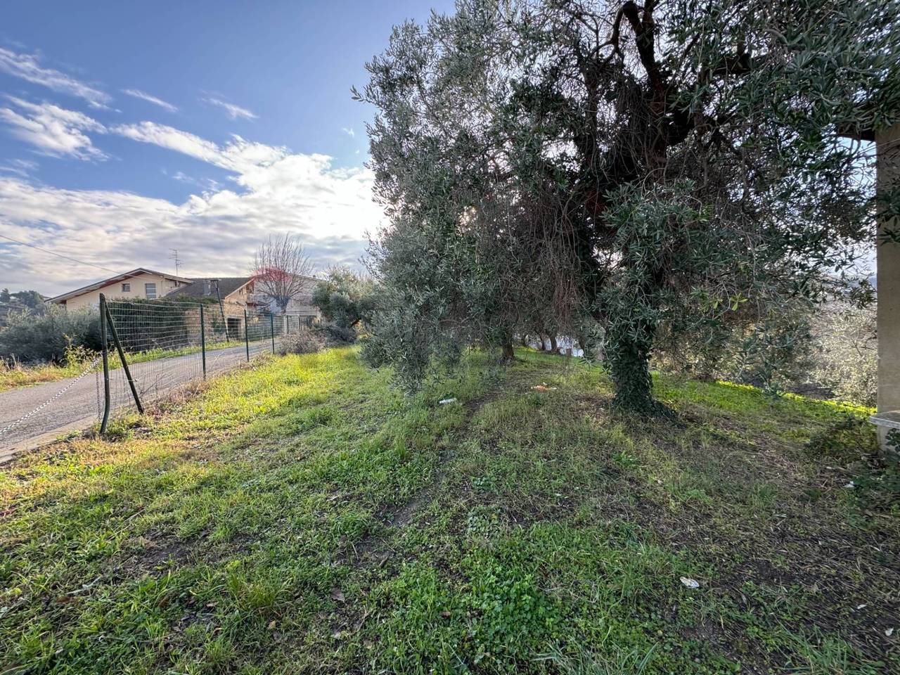 immagine annuncio 9 di 12