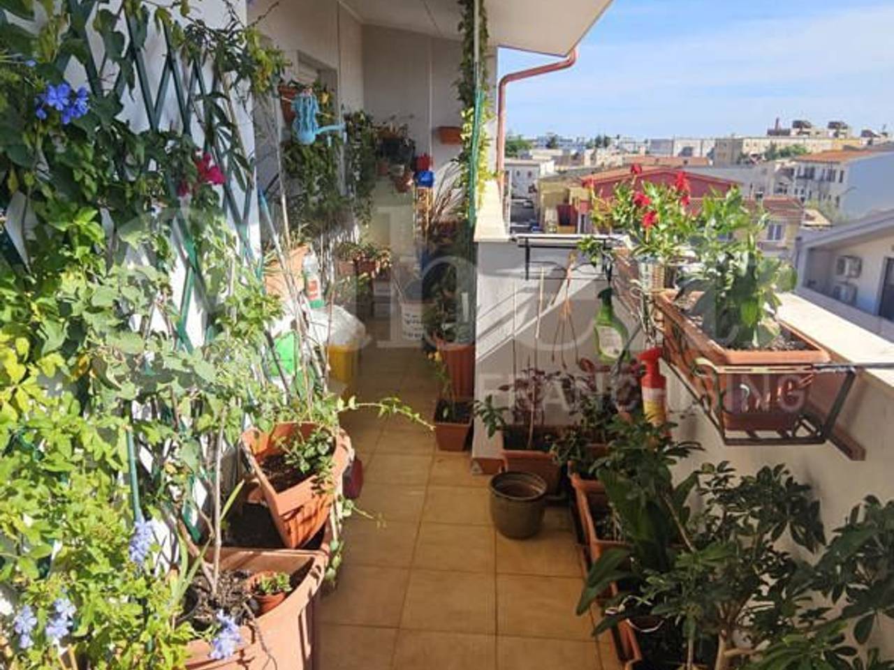 immagine annuncio 6 di 9