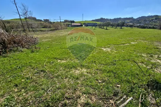 insertion image