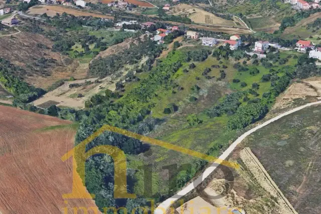 insertion image