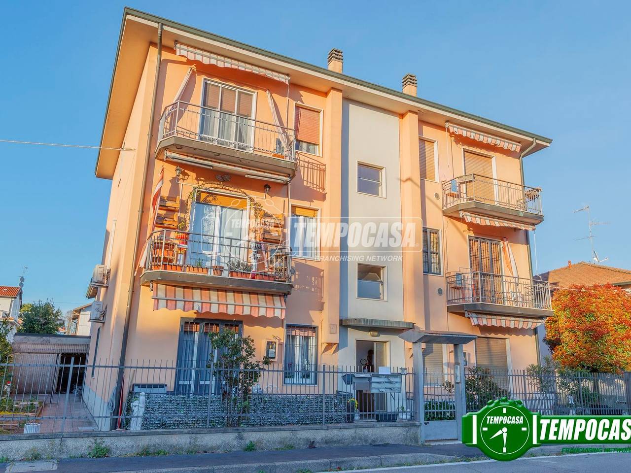 immagine annuncio 9 di 11