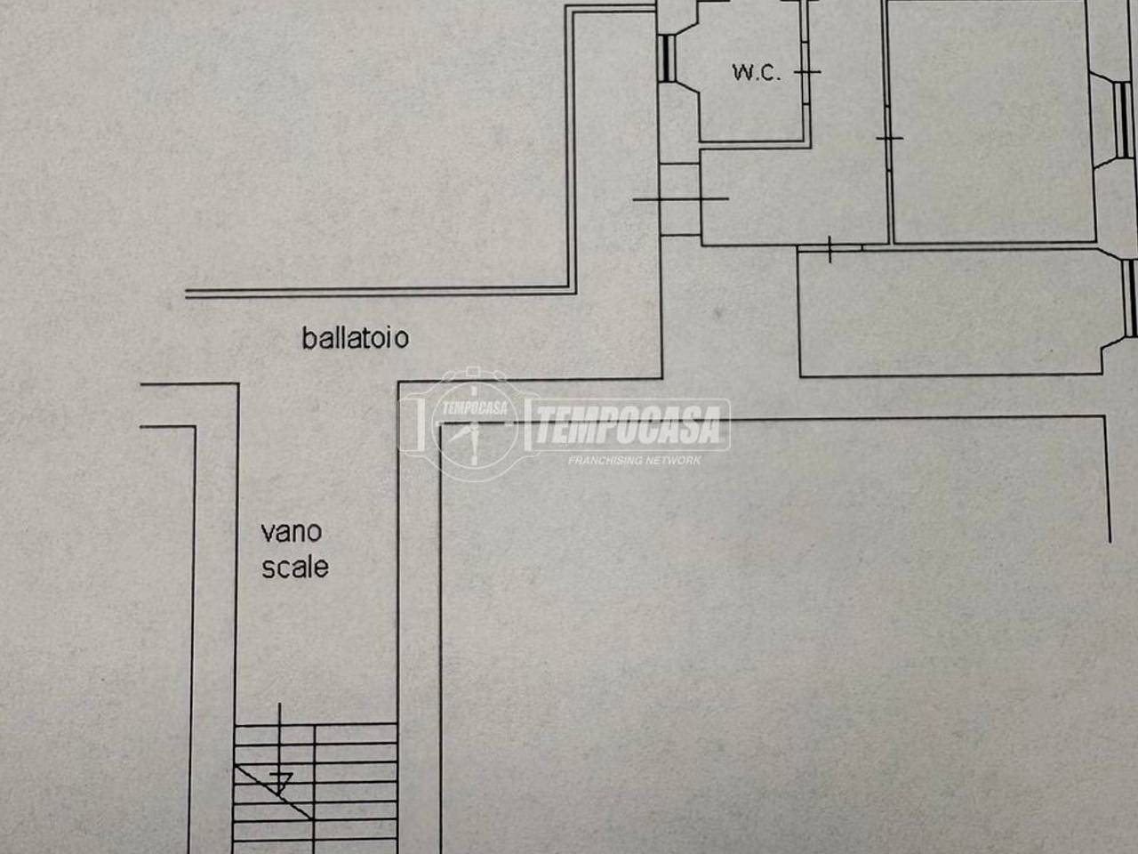 immagine annuncio 12 di 14