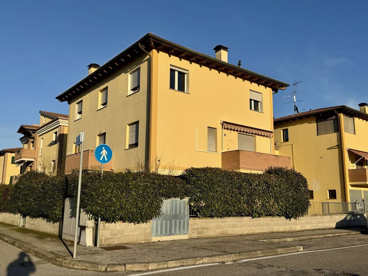 immagine annuncio 11 di 14