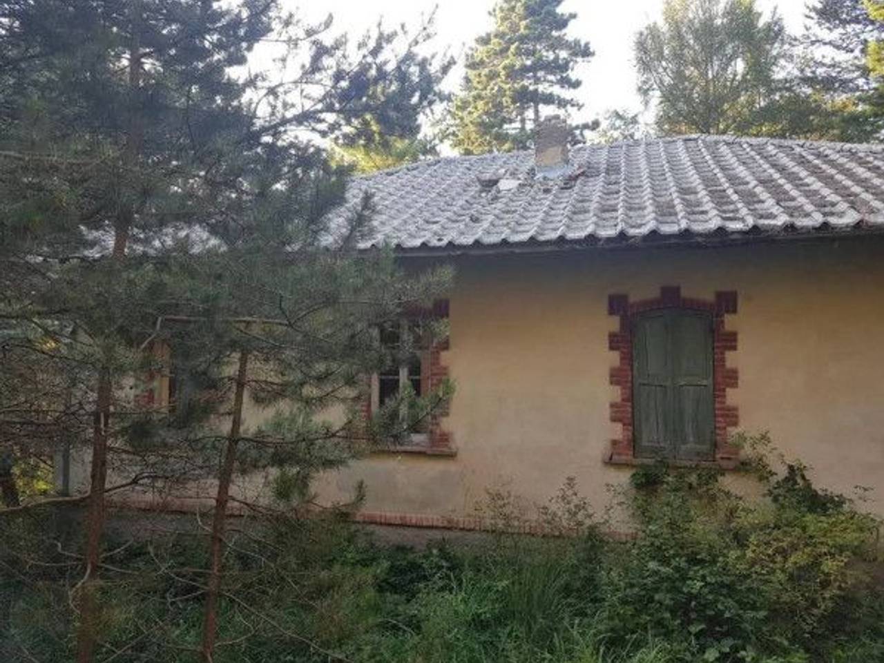 immagine annuncio 1 di 10