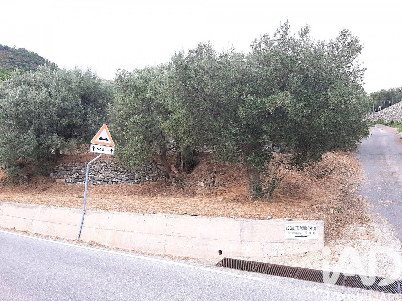 immagine annuncio 3 di 9