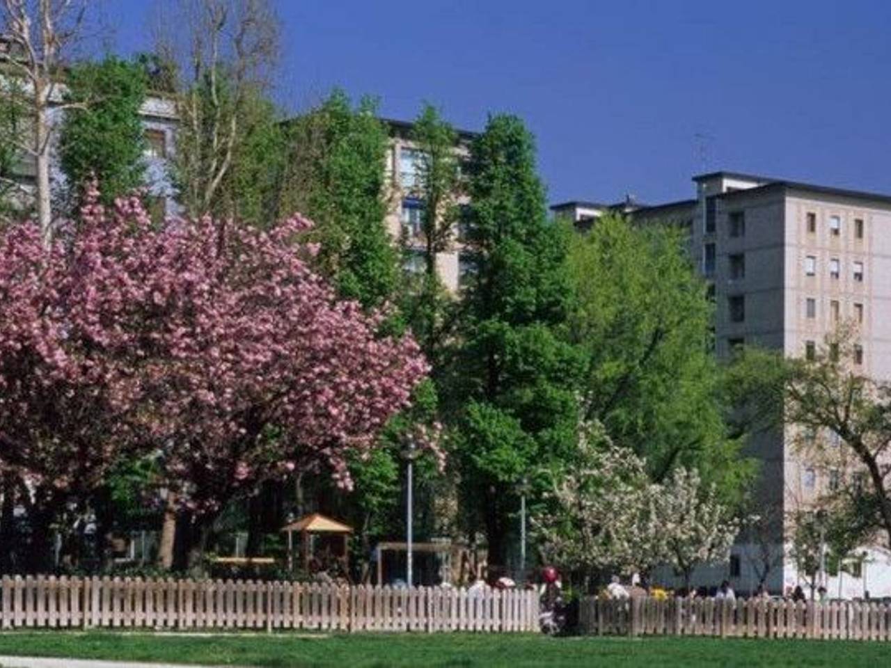 immagine annuncio 1 di 4