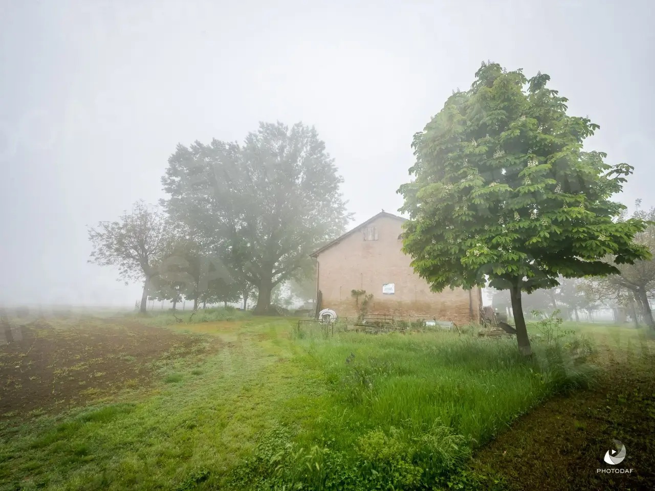Magazzino in Via Olmo 19, Castelfranco Emilia, {3} - Foto 2