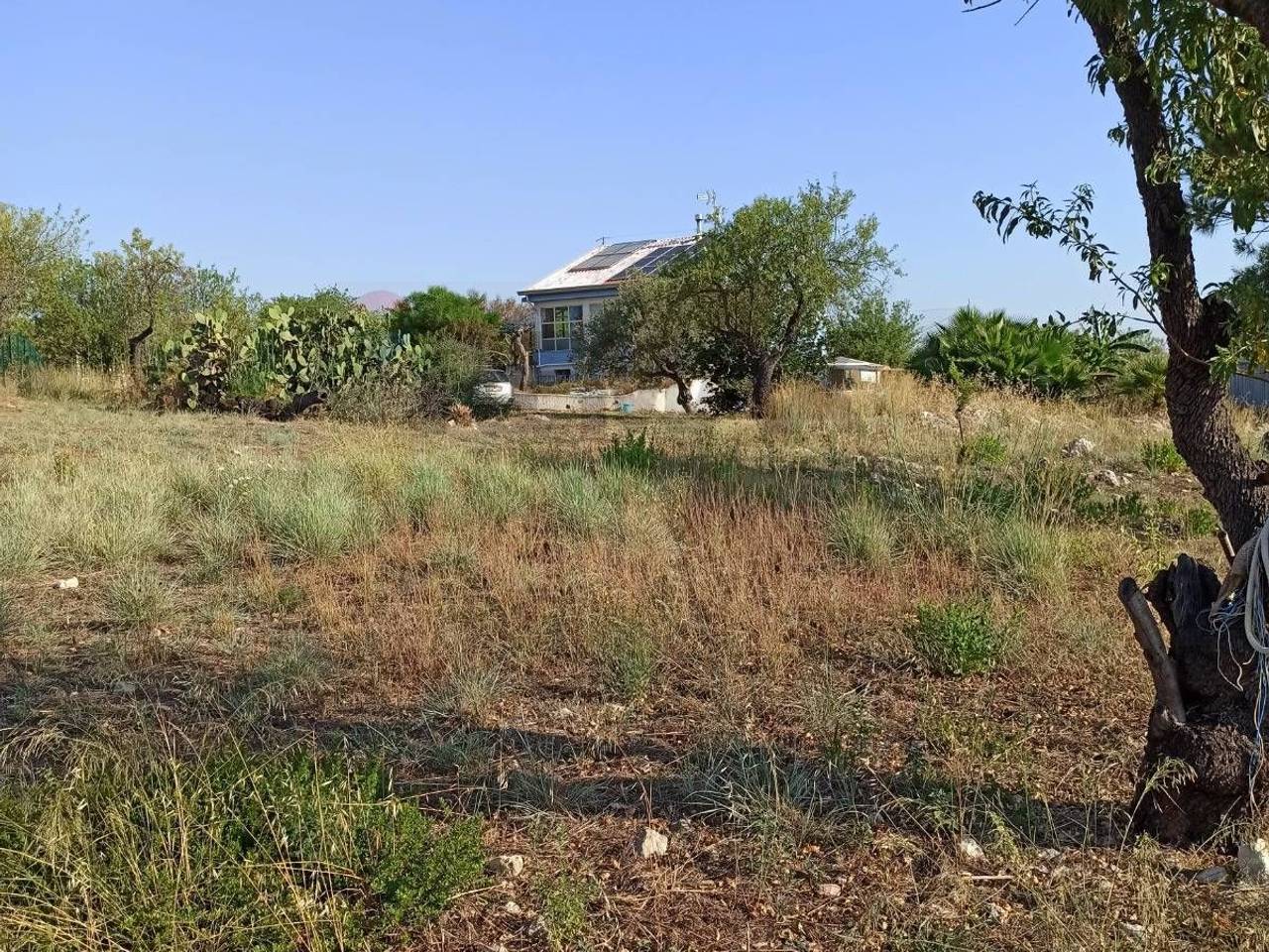 immagine annuncio 9 di 12