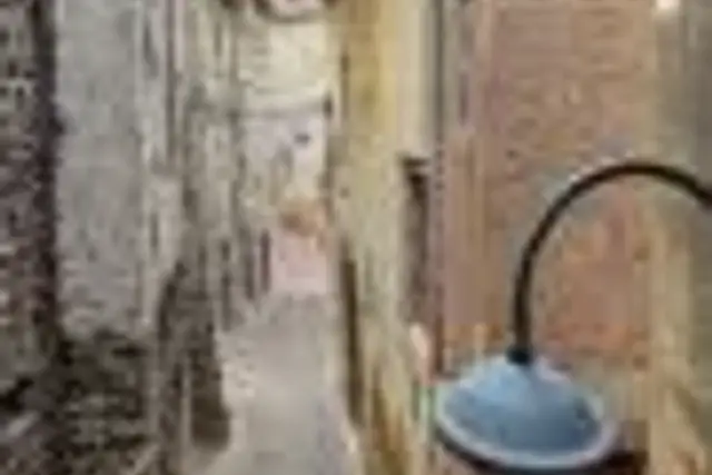 insertion image