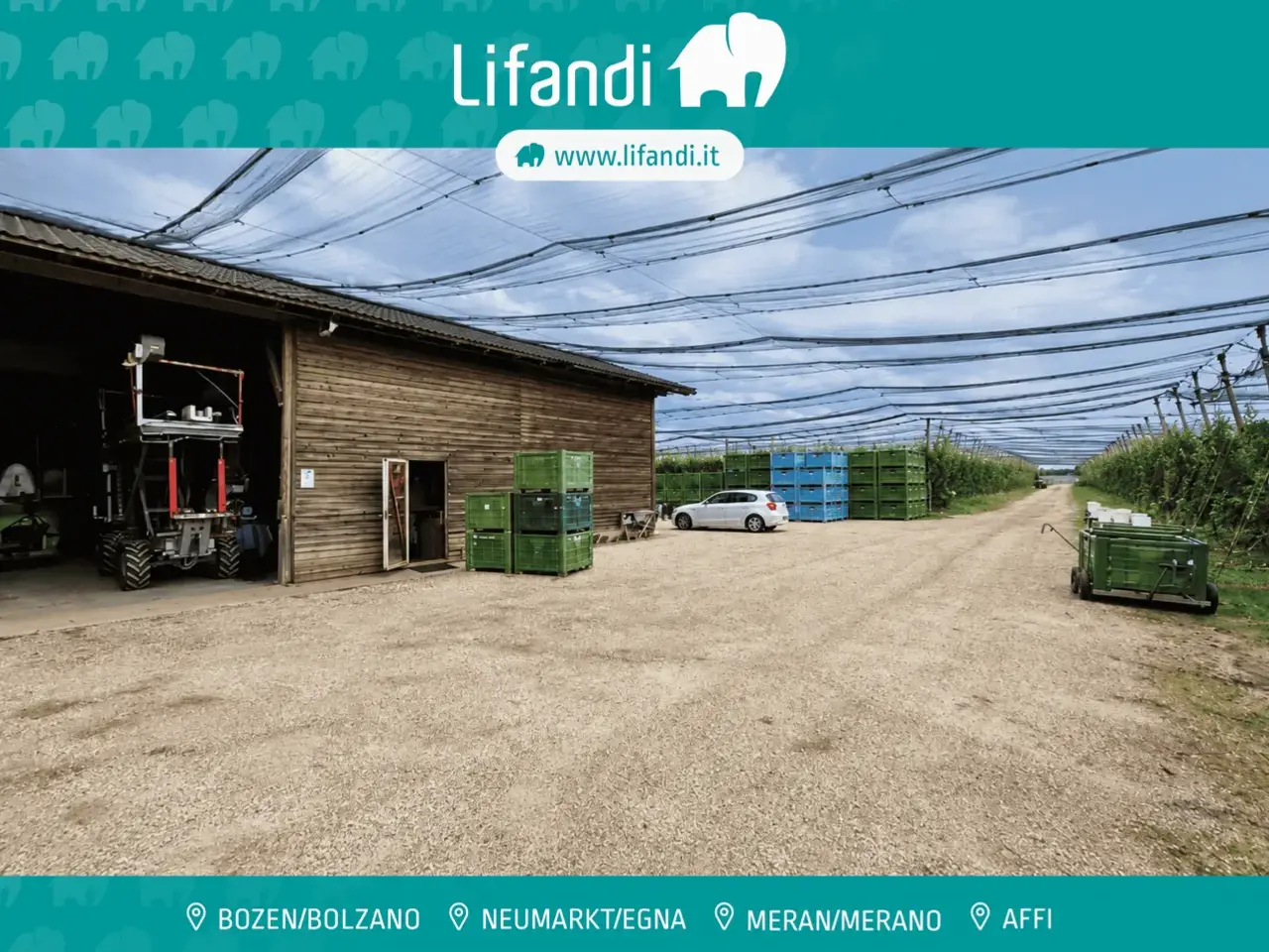 Azienda agricola in , Castions Di Strada, {3} - Foto 1