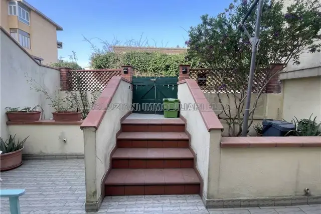 insertion image