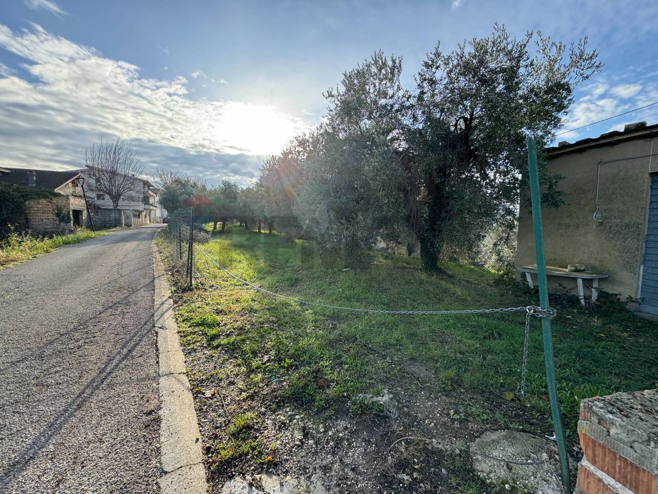 immagine annuncio 11 di 12