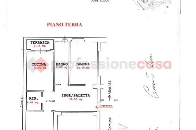 insertion image