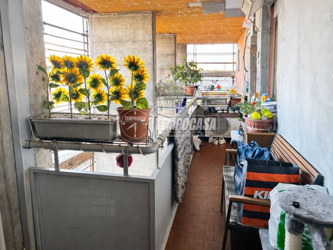 immagine annuncio 9 di 12