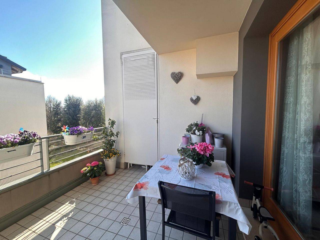 immagine annuncio 2 di 13