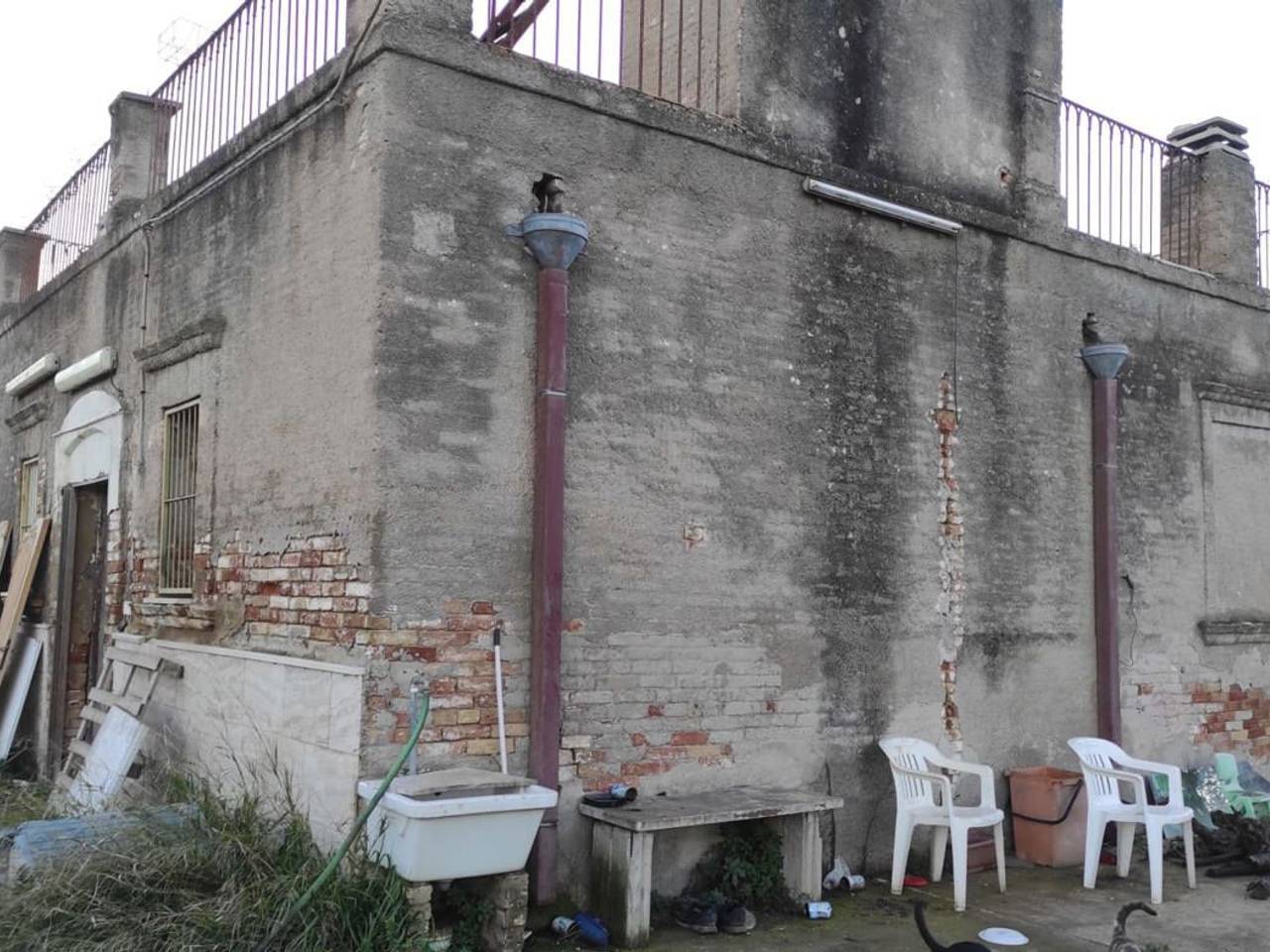 immagine annuncio 1 di 12