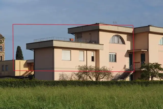 insertion image