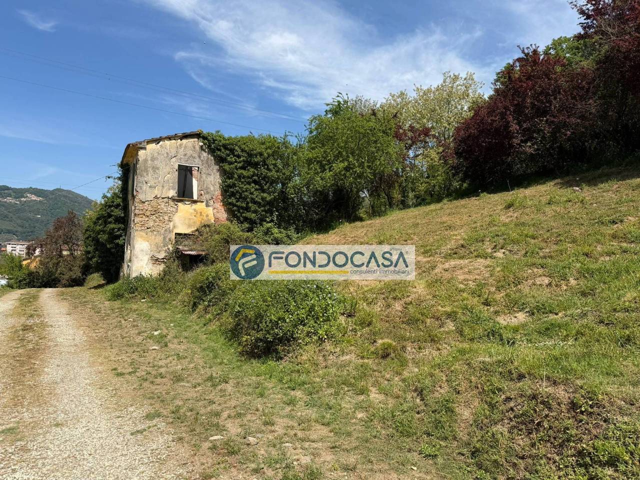 immagine annuncio 7 di 12
