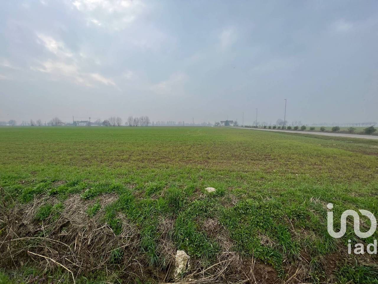 immagine annuncio 1 di 7