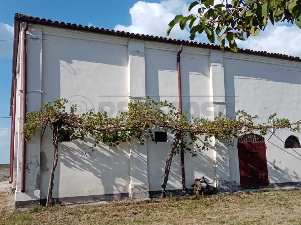 Magazzino in , Bondeno, {3} - Foto 2