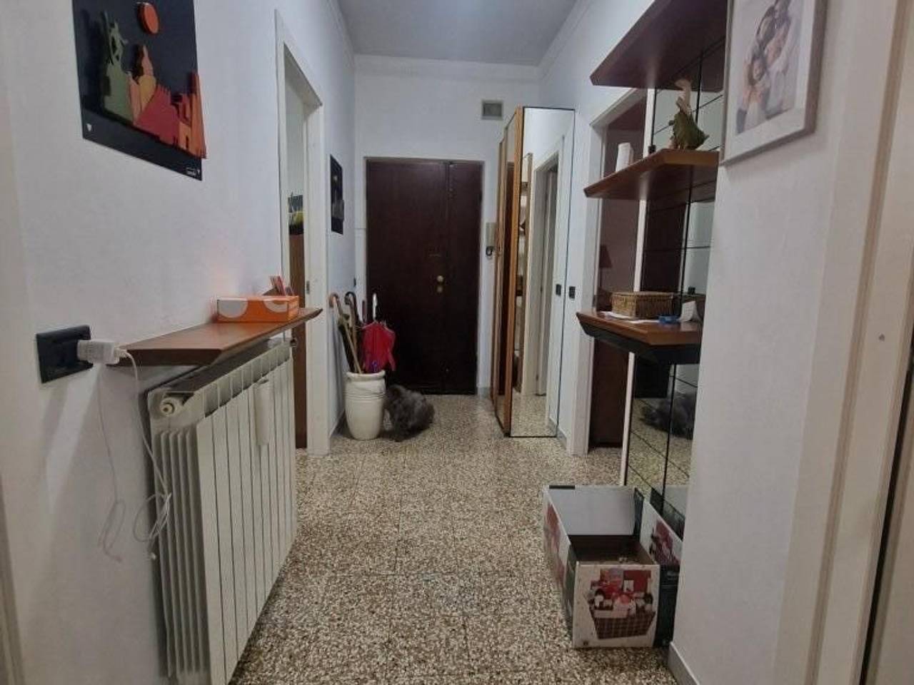 immagine annuncio 11 di 13