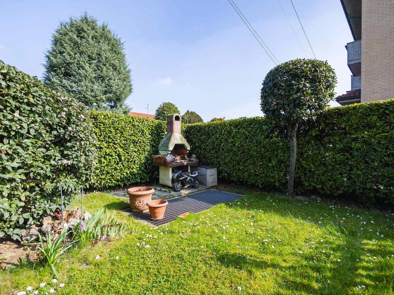 immagine annuncio 1 di 11