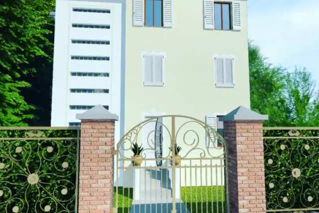 insertion image