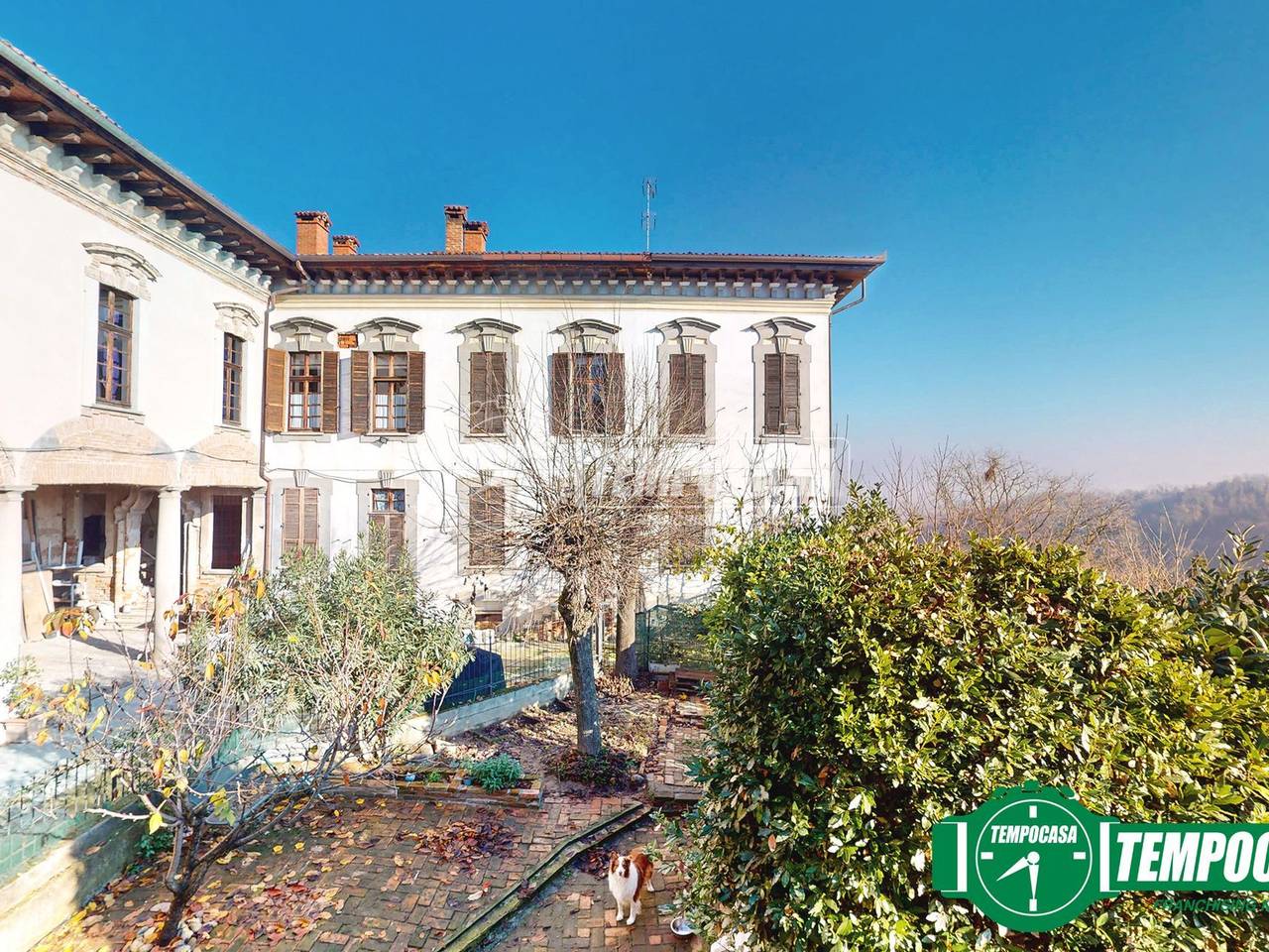 immagine annuncio 11 di 15