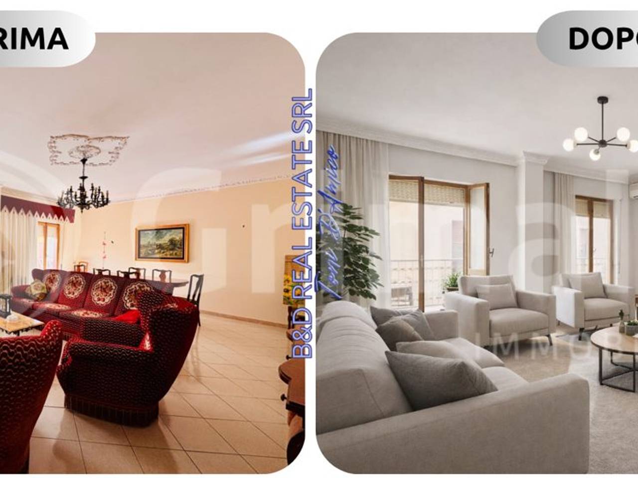 immagine annuncio 5 di 11