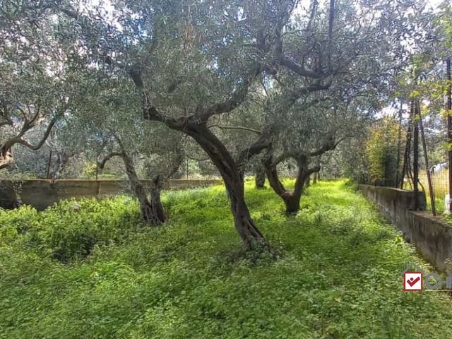 Agricultural land in Pianotorre, Messina - Photo 1