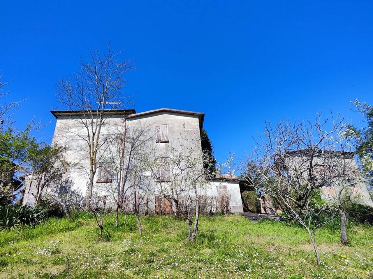 immagine annuncio 1 di 12