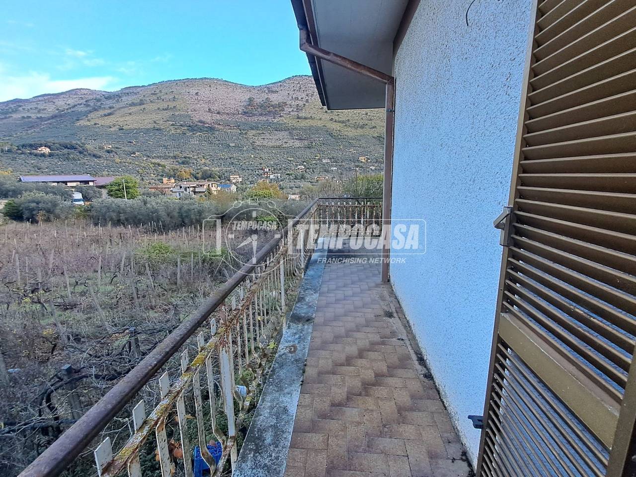 immagine annuncio 3 di 11