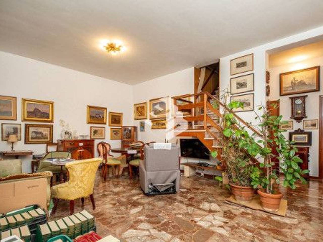 immagine annuncio 2 di 13