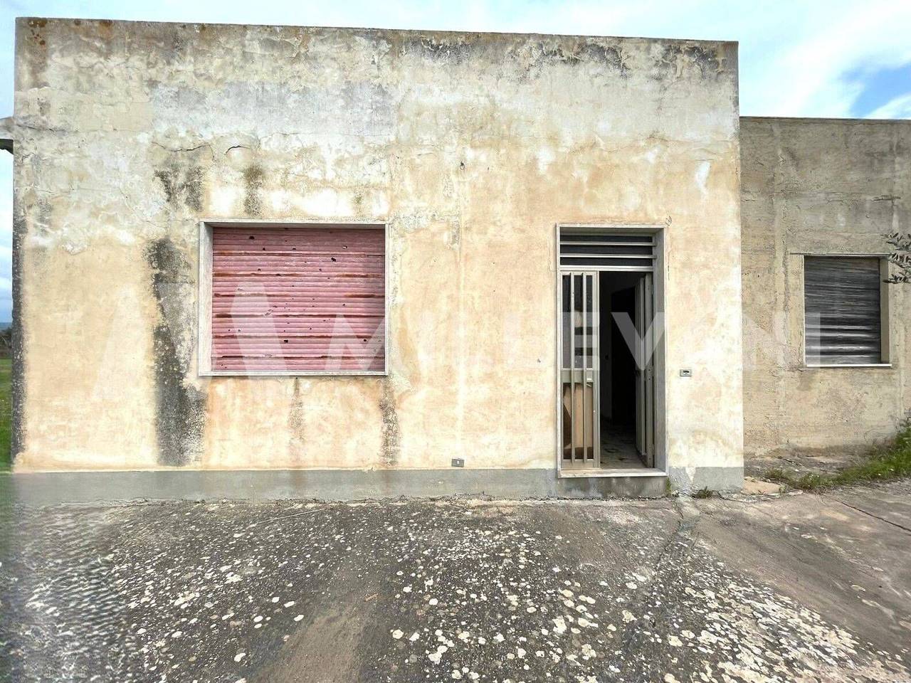 immagine annuncio 6 di 12