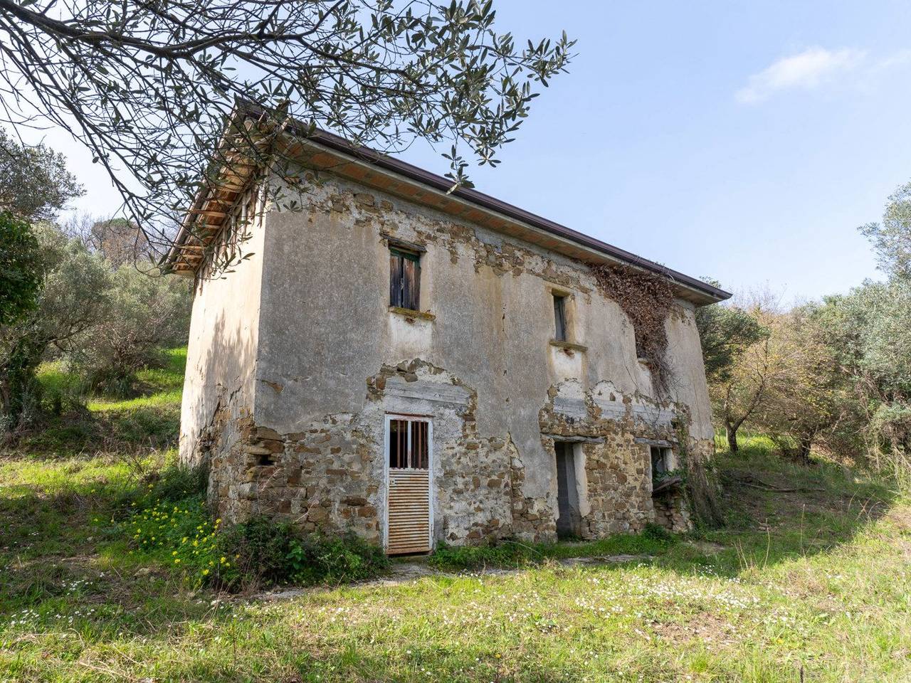 immagine annuncio 3 di 15