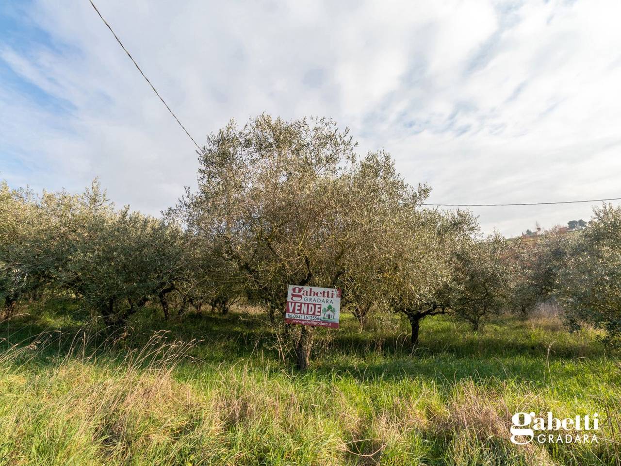 immagine annuncio 8 di 14