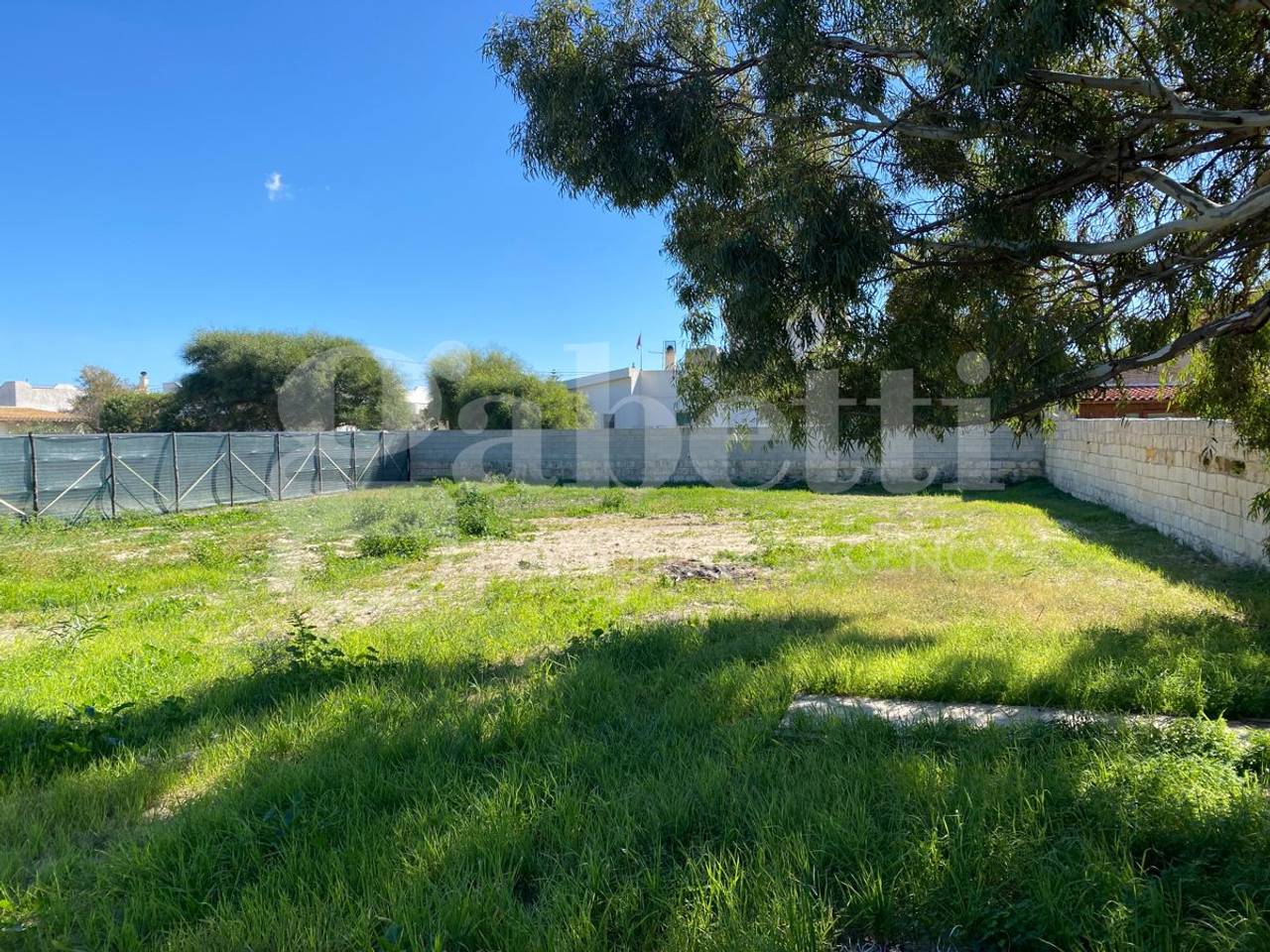 immagine annuncio 3 di 4