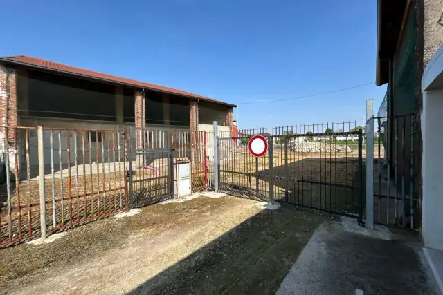 insertion image
