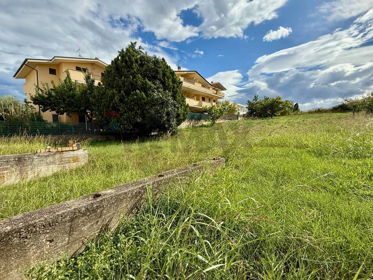 immagine annuncio 3 di 7