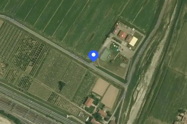 insertion image