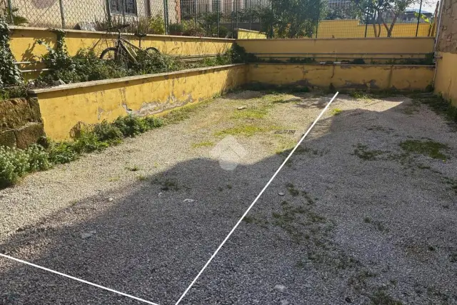 insertion image