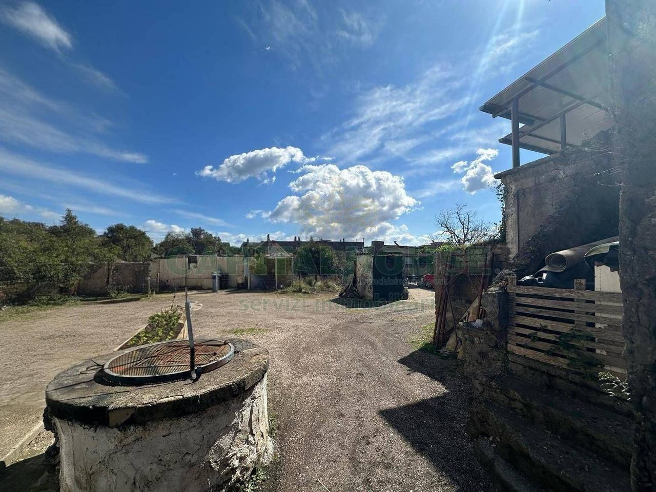 immagine annuncio 8 di 12