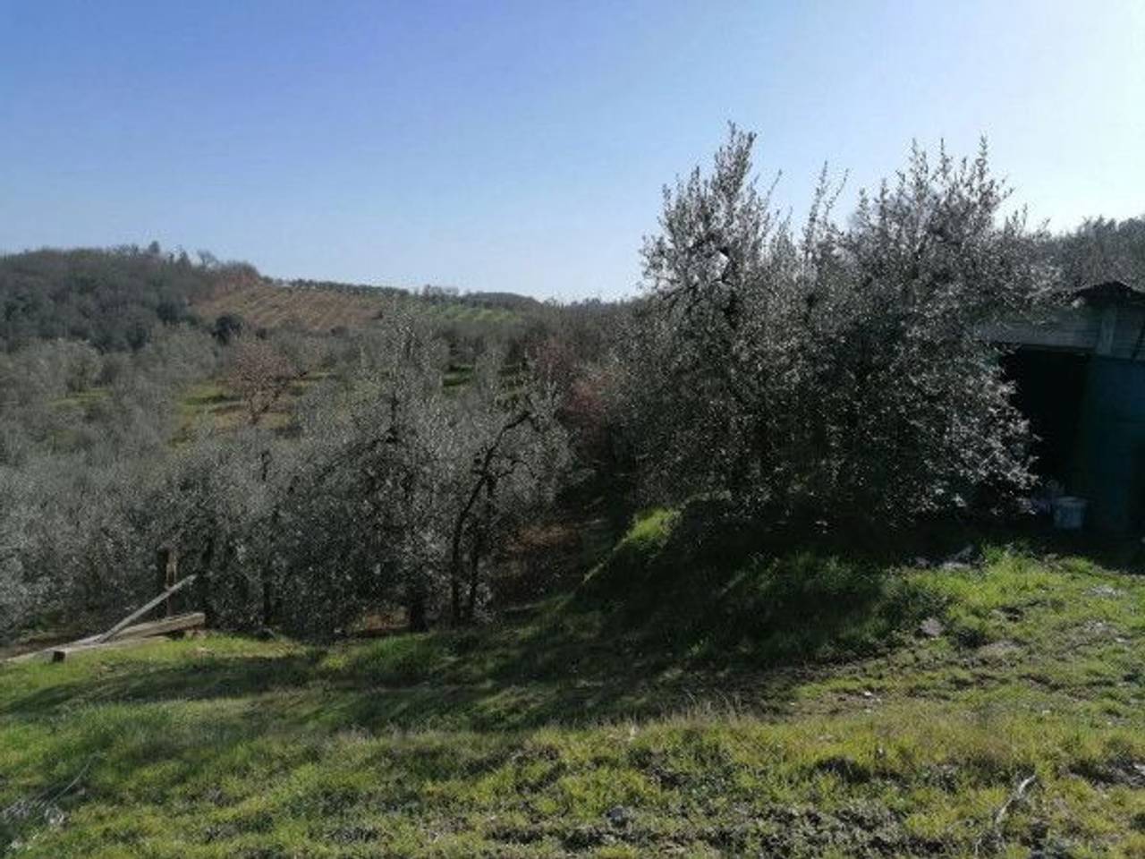 immagine annuncio 1 di 6
