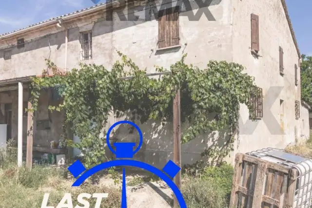 insertion image