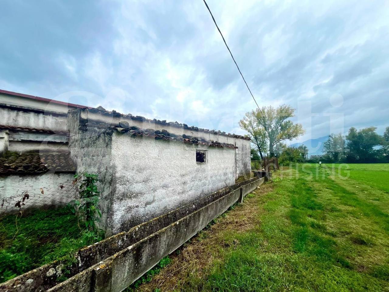 immagine annuncio 8 di 11