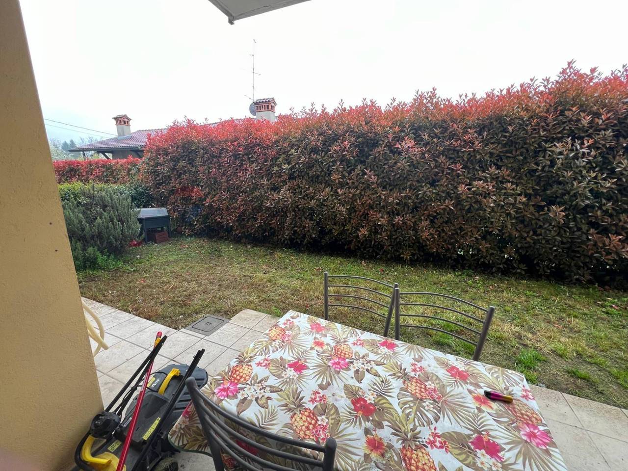 immagine annuncio 9 di 12